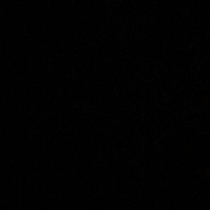 Meet your Posher, Nora